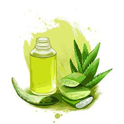 Aloe-Vera