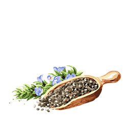Chia-Seed-Oil
