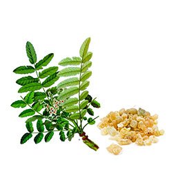 Frankincense