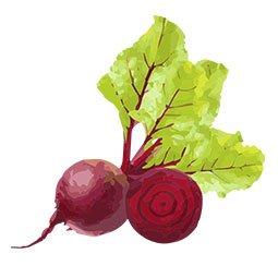 Beetroot-extract