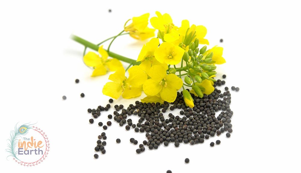 Brassica-Seed-Oil-for-Skin