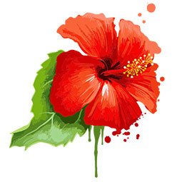 Hibiscus Extract