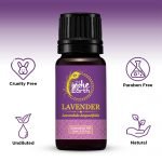 Lavender-Front