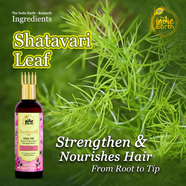 Shatavari-leaf