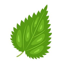 Nettle-Leaf